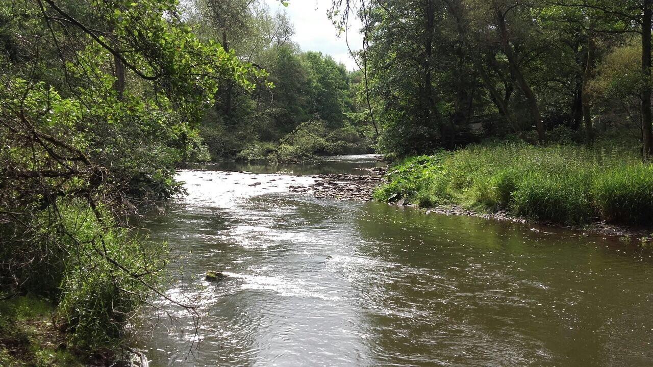 Ferienwohnungen "Am Fuerstenweg" นอยวิท ภายนอก รูปภาพ