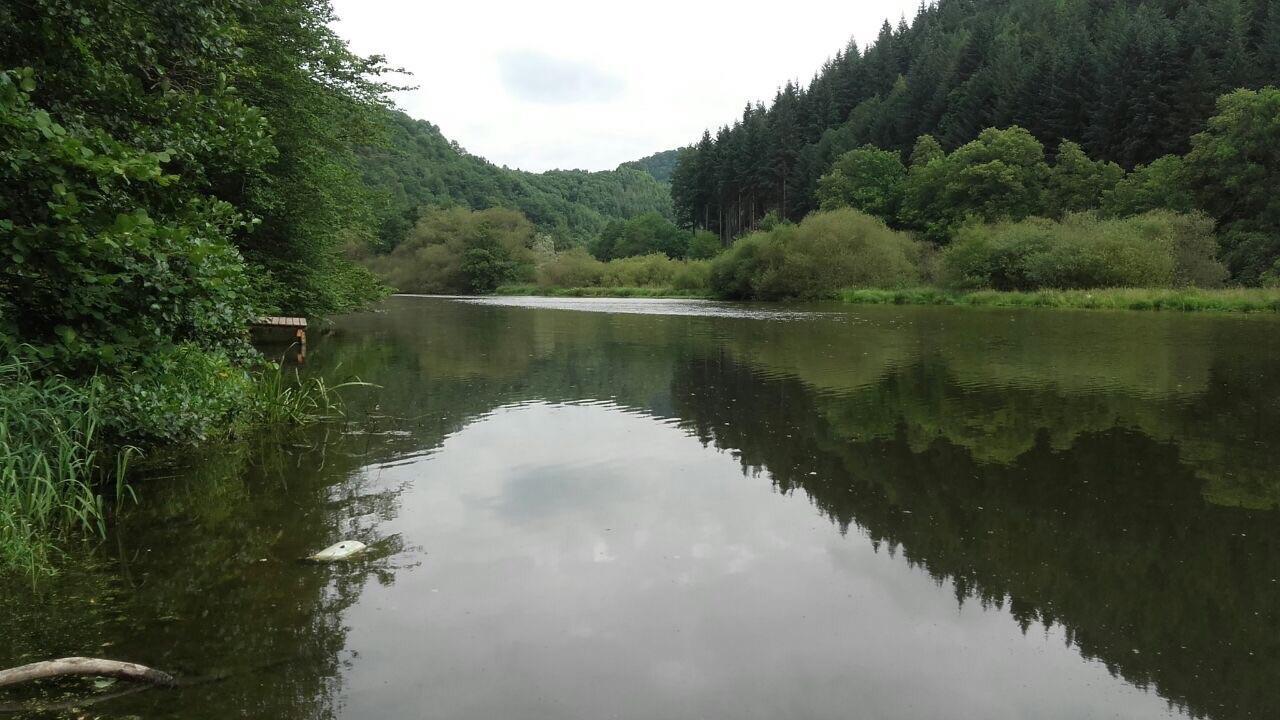 Ferienwohnungen "Am Fuerstenweg" นอยวิท ภายนอก รูปภาพ