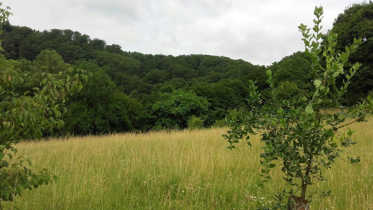 Ferienwohnungen "Am Fuerstenweg" นอยวิท ภายนอก รูปภาพ