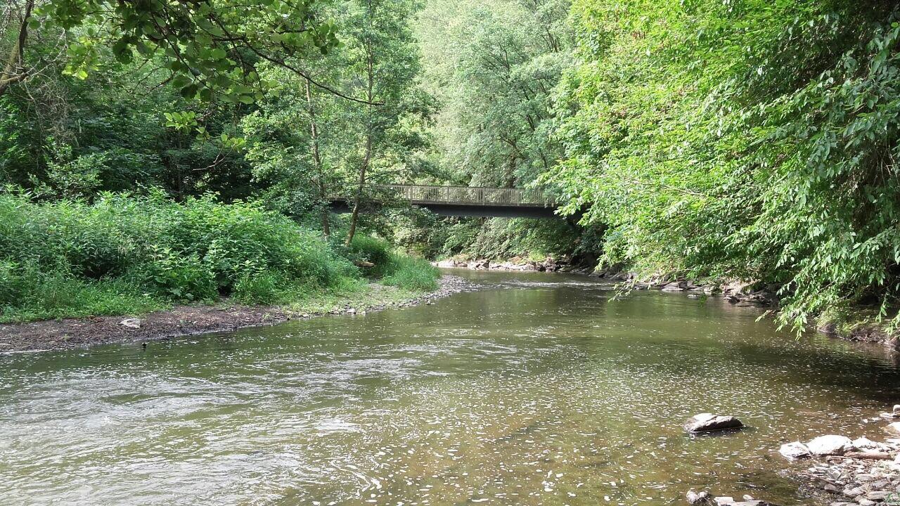Ferienwohnungen "Am Fuerstenweg" นอยวิท ภายนอก รูปภาพ